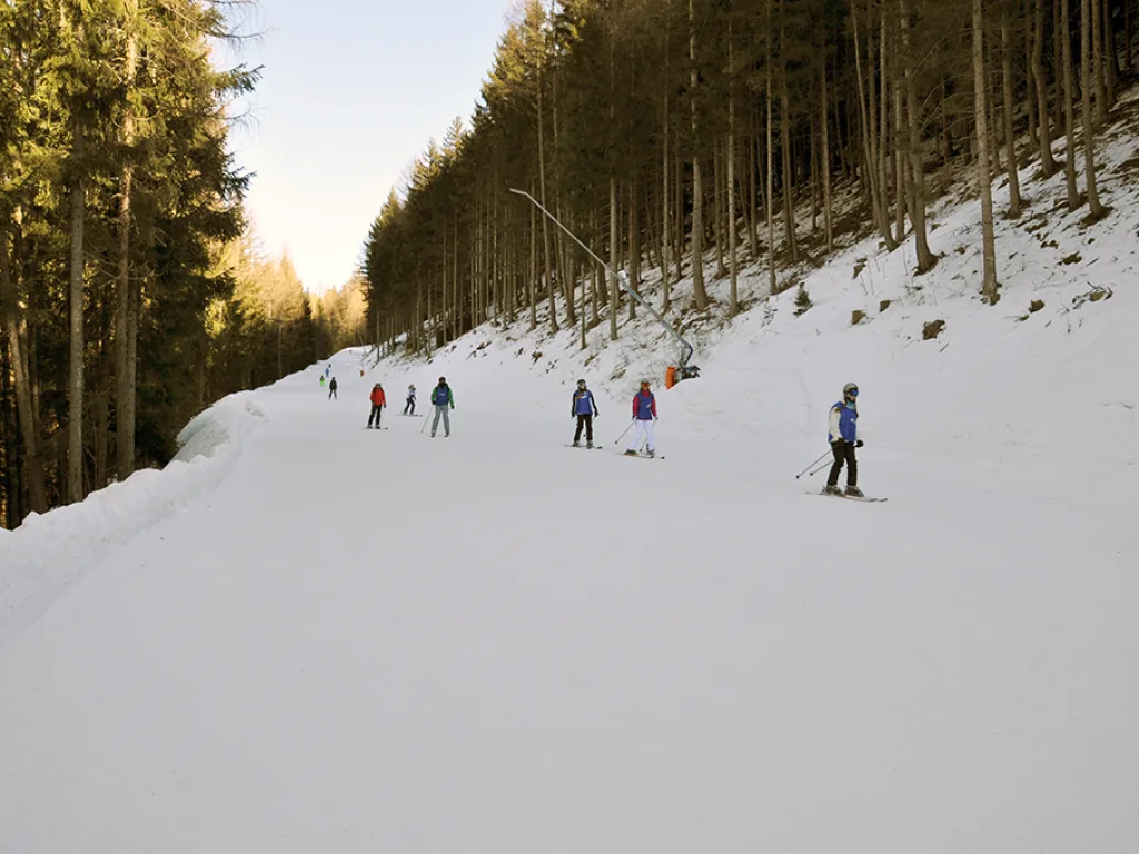 Blick auf die Waldpiste mit mehreren Skifahrenden.